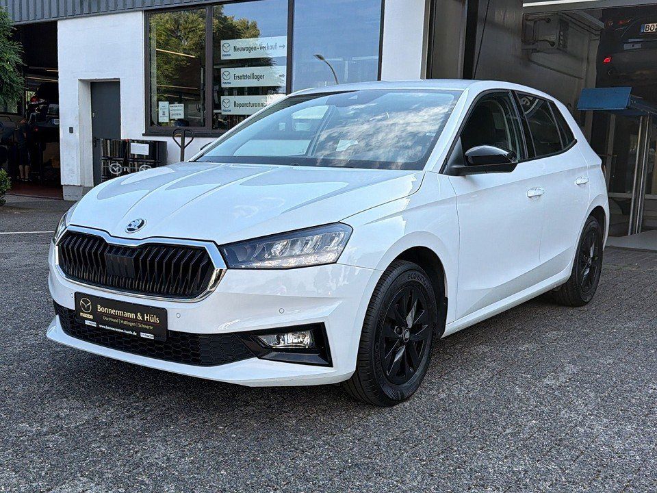 Bild des Angebotes Skoda Fabia Young Edition 1.0 TSI