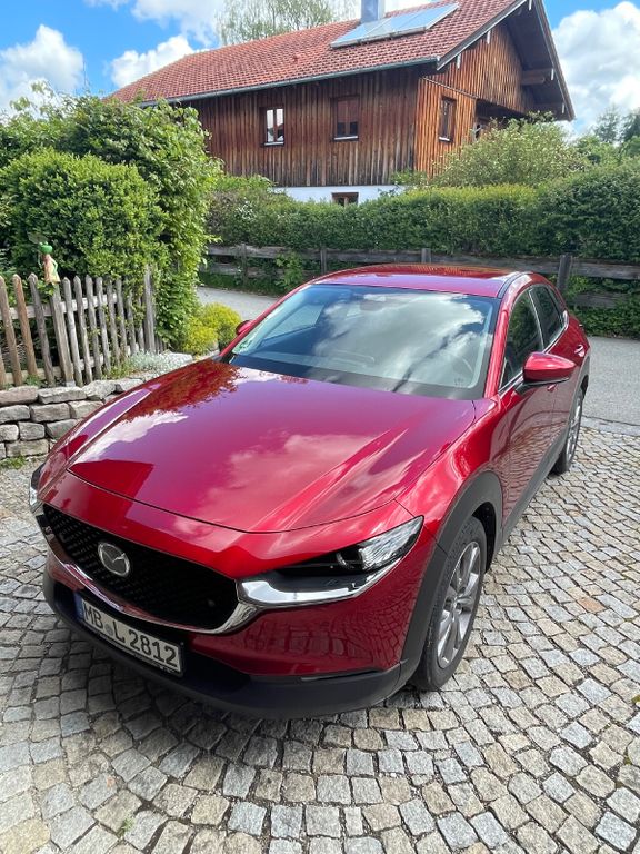 Bild des Angebotes Mazda CX-30 2.0 e-SKYACTIV-X M-Hybrid Selectio...
