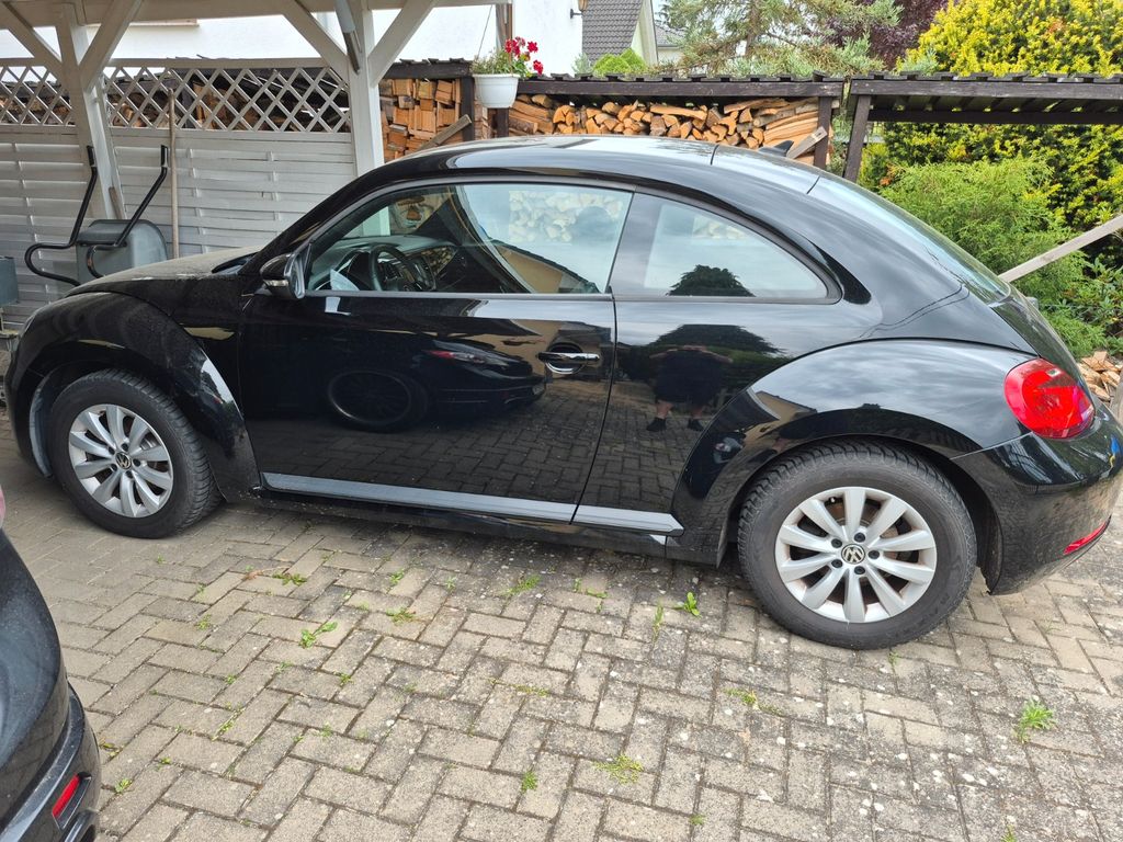 Bild des Angebotes Volkswagen New Beetle