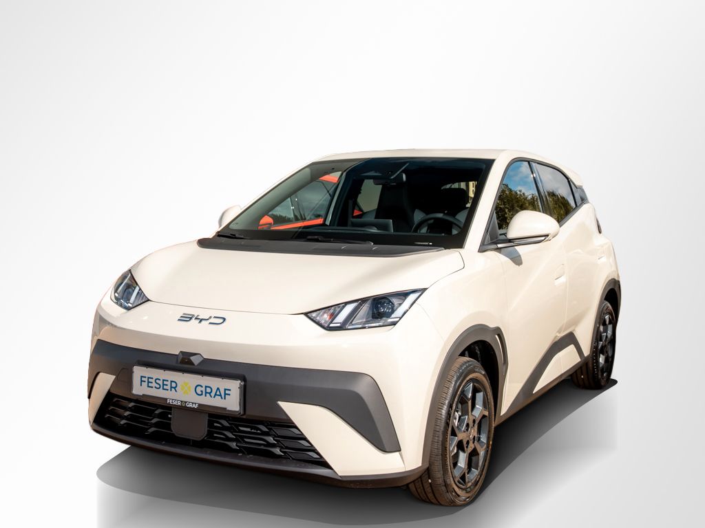 Bild des Angebotes BYD Dolphin Surf Comfort 43,2 kWh/360°/SHZ/DAB/ACC