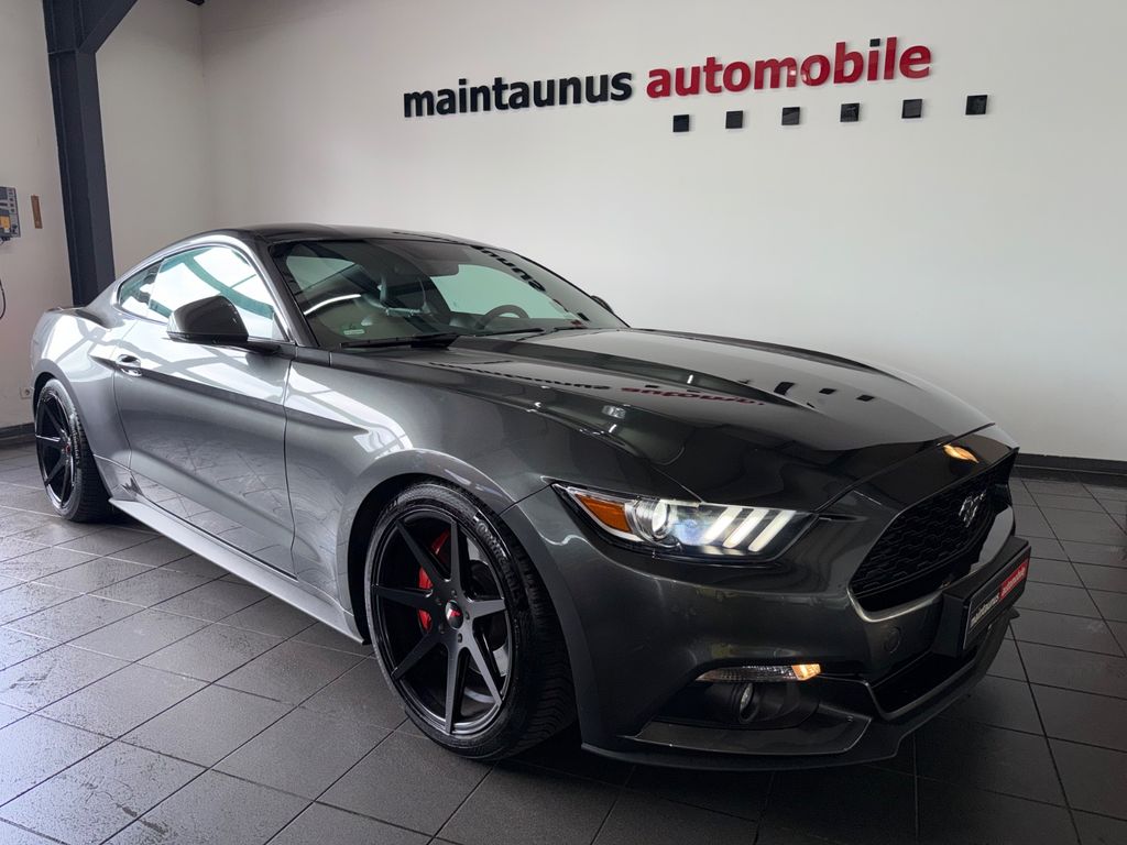 Bild des Angebotes Ford Mustang Basis Fastback *XENON | KAMERA | LEDER*