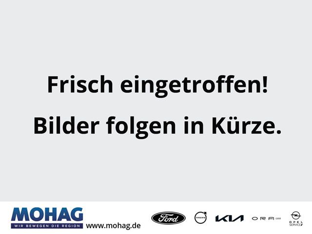 Volvo XC40 Plus Dark B3 Leder Sitze Soundsystem Harman