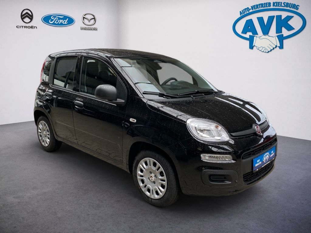Bild des Angebotes Fiat Panda Icon MY25, Klimaanlage, Tempomat