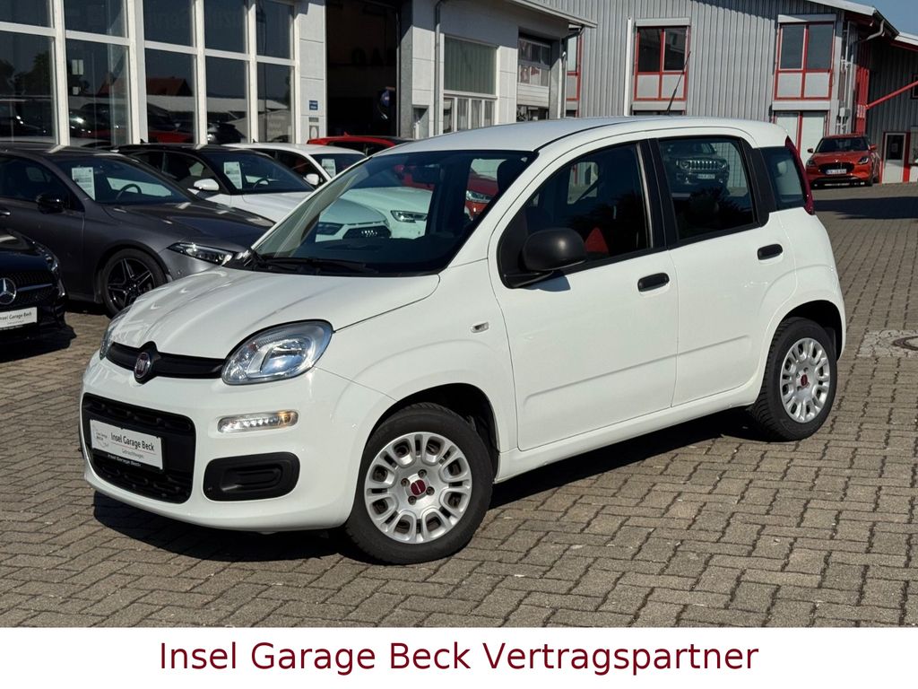 Bild des Angebotes Fiat Panda 1.0 | Klima | 1.Hand |PDC