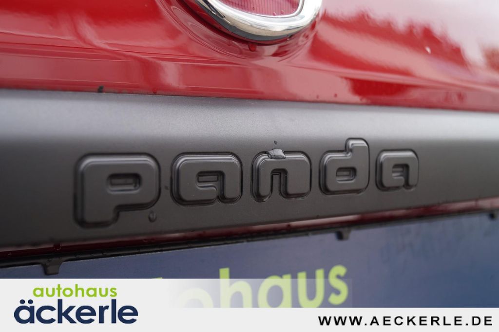 Bild des Angebotes Fiat Panda Cross Red I Sonderedition "RED" I Allwette