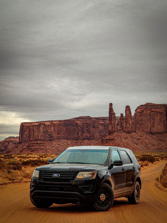 Bild des Angebotes Ford Police Interceptor Utility Flex Fuel E85