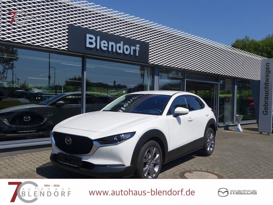 Bild des Angebotes Mazda CX-30 Selection 122 Automatik Design-Active|Bose