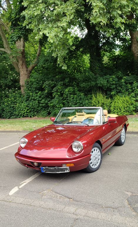 Alfa Romeo Spider, Rostfrei, Top Zustand, Motorrevis. 25tkm