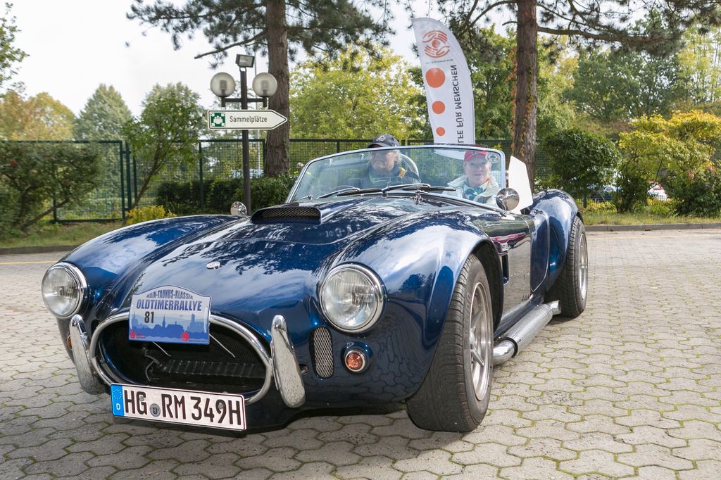 Bild des Angebotes Cobra Ford Libra