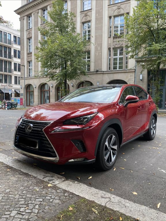 Bild des Angebotes Lexus NX 300h Luxury Line | 2019 | Lexus-Garant