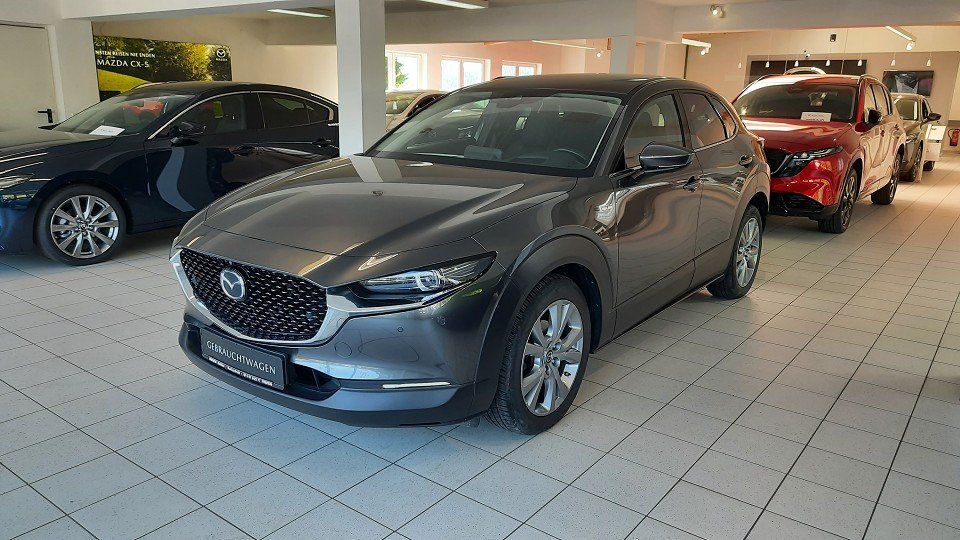 Bild des Angebotes Mazda CX-30 SKYACTIV-D 1.8 Selection *Design-P.*Active