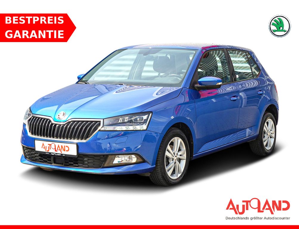 Bild des Angebotes Skoda Fabia 1.0 MPI Klima AUX