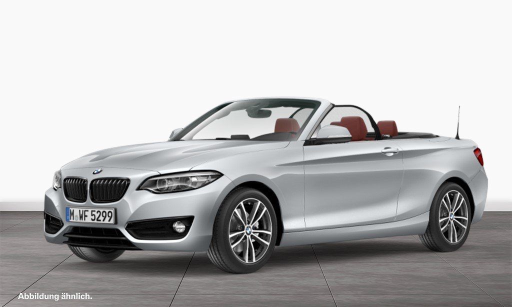 Bild des Angebotes BMW 220i Cabrio Sport Line Navi Bus. Tempomat USB