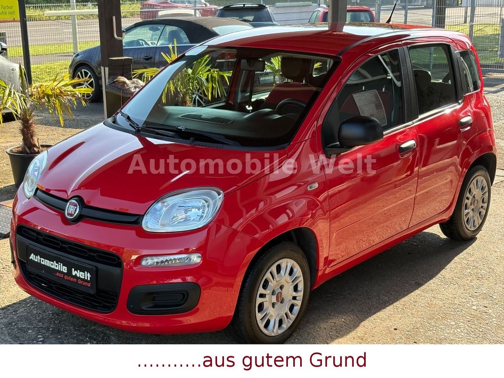 Bild des Angebotes Fiat Panda1,2 Easy Klima Radio CD Allwetter HU/AU NEU