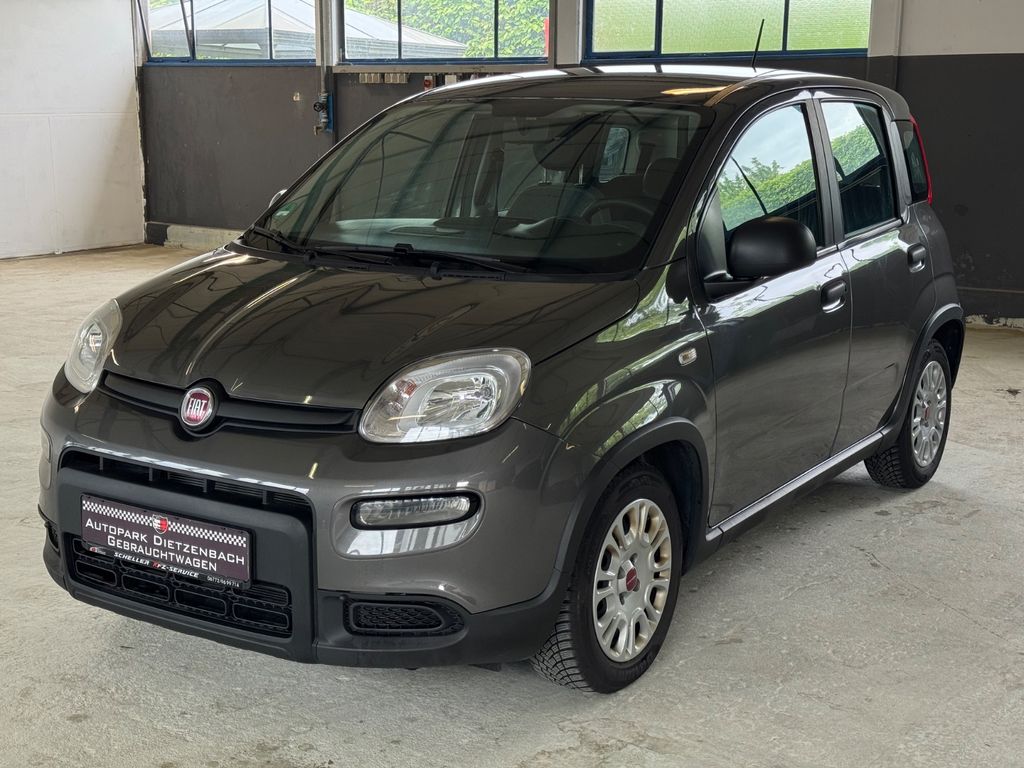 Bild des Angebotes Fiat Panda Hybrid/Benzin