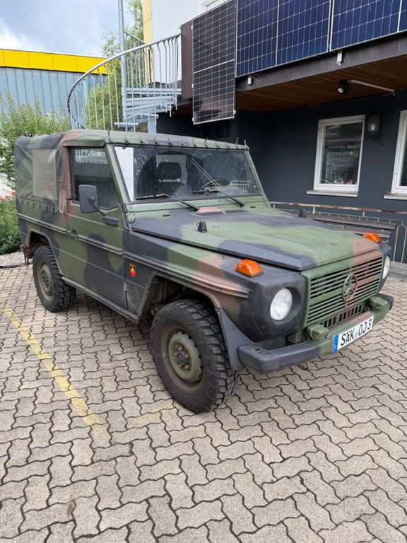 Bild des Angebotes Mercedes-Benz G 250 BW Wolf