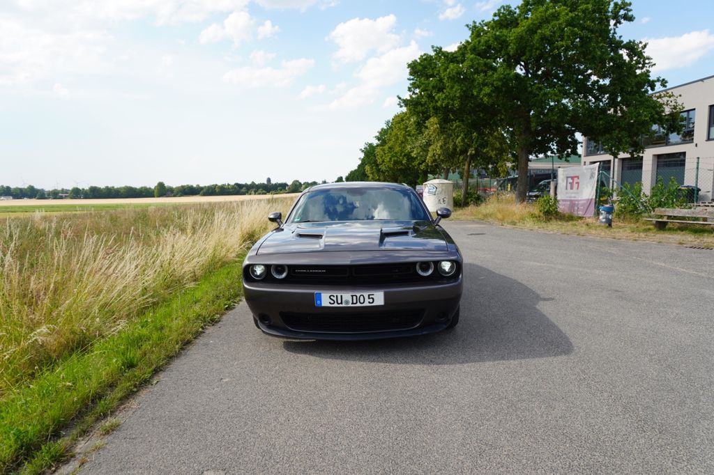 Bild des Angebotes Dodge Challenger