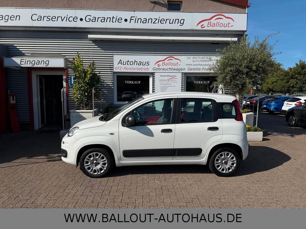 Bild des Angebotes Fiat Panda Easy*1.HAND*KLIMA*TÜV/AU NEU*EURO6*GARANTI
