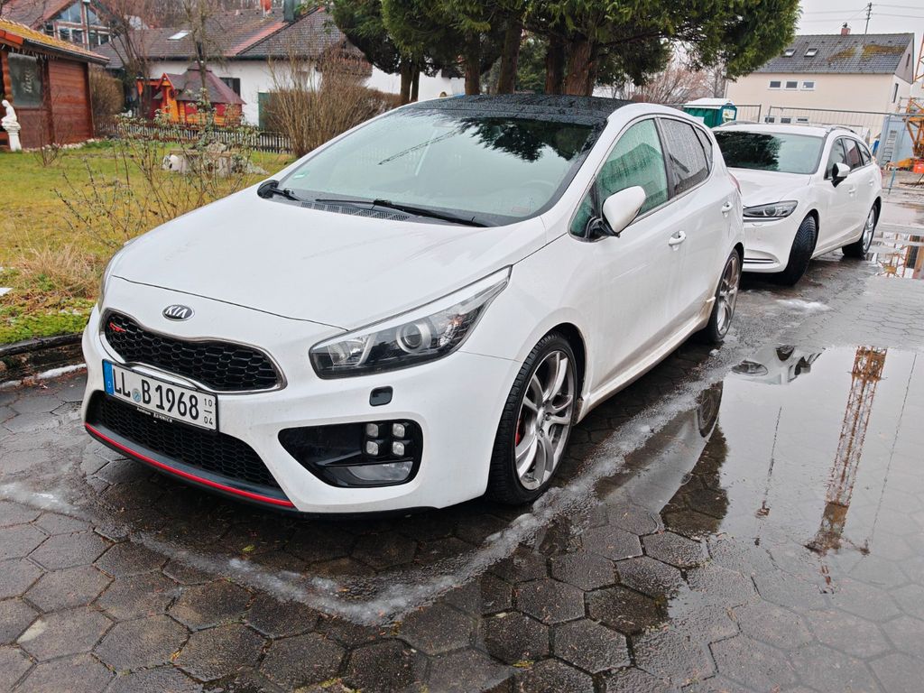 Bild des Angebotes Kia Ceed 1.6 T-GDI GT-Track Scheckheft Standheizung