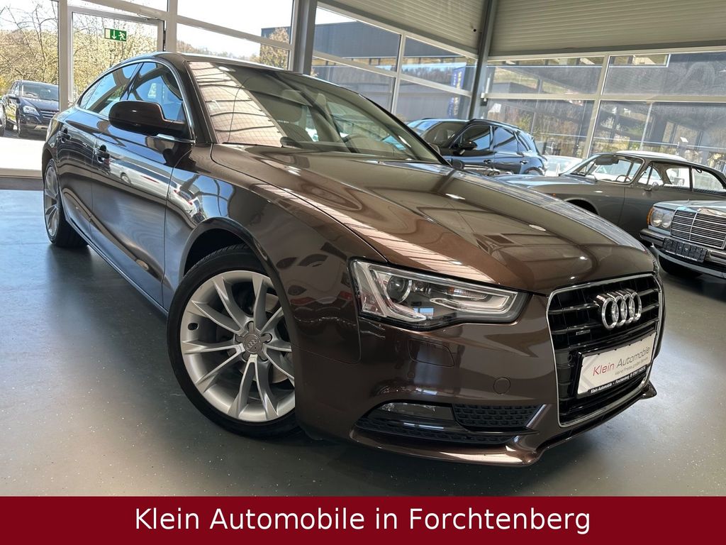 Bild des Angebotes Audi A5 Sback 3.0TDI Quattro Aut. Leder Nav Xenon 2HD