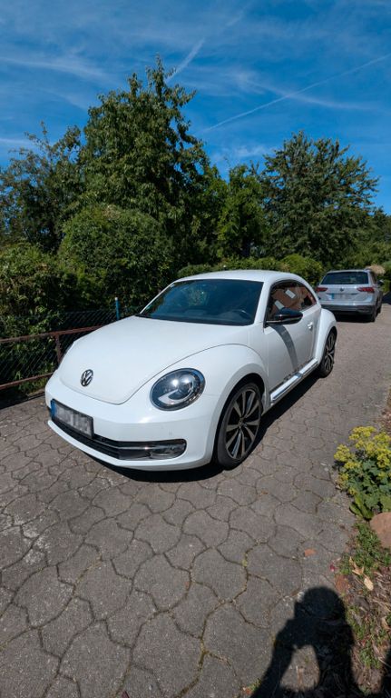 Bild des Angebotes Volkswagen Beetle 2.0 TSI DSG Sport Sport