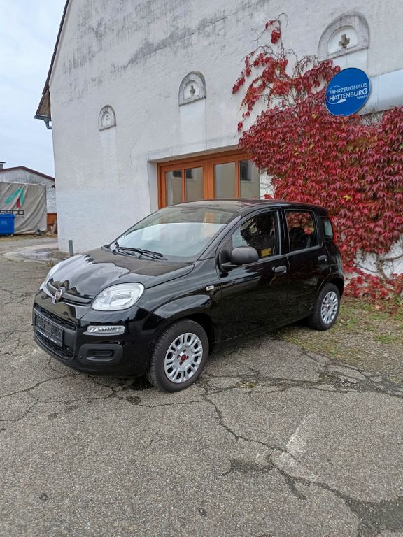 Bild des Angebotes Fiat New Panda 1.2 8V EASY