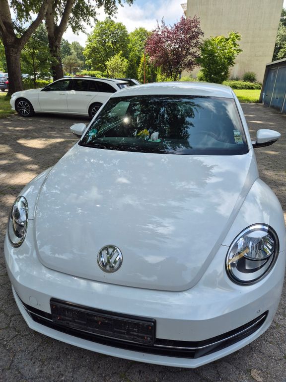 Bild des Angebotes Volkswagen Beetle 1.2 TSI Exclusive Design Exclusive Design