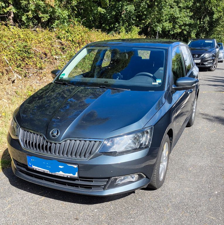 Bild des Angebotes Skoda Fabia III Combi 1.4 TDI (77 kW / 105 PS)