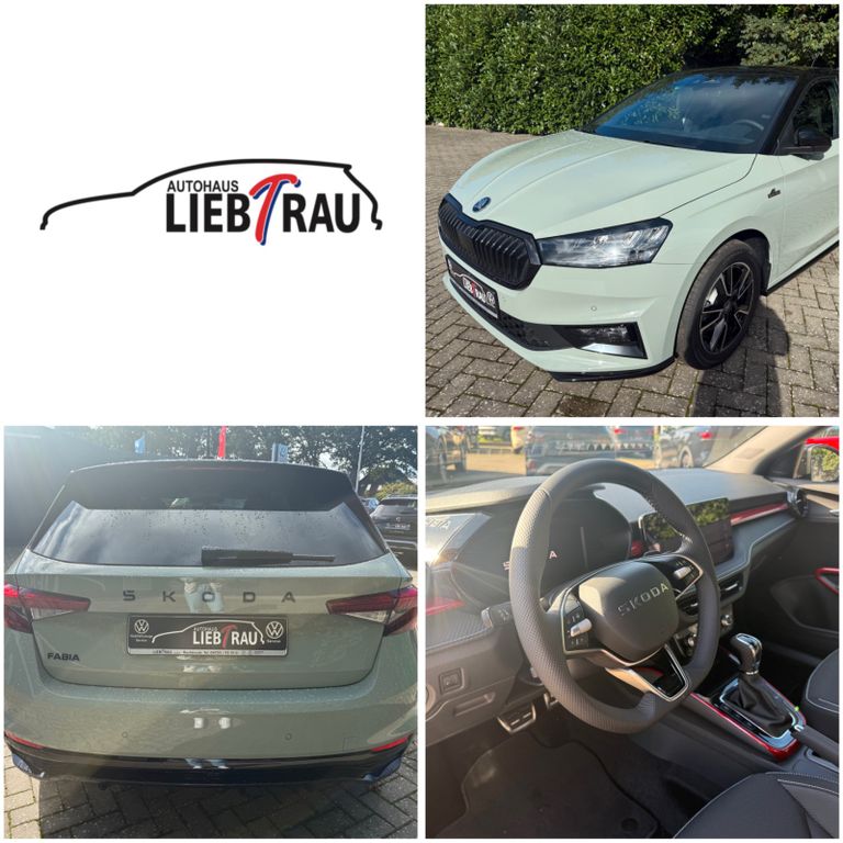 Bild des Angebotes Skoda Fabia 1.0 TSI Monte Carlo DSG *SHZ*NAVI*RFK*LED*