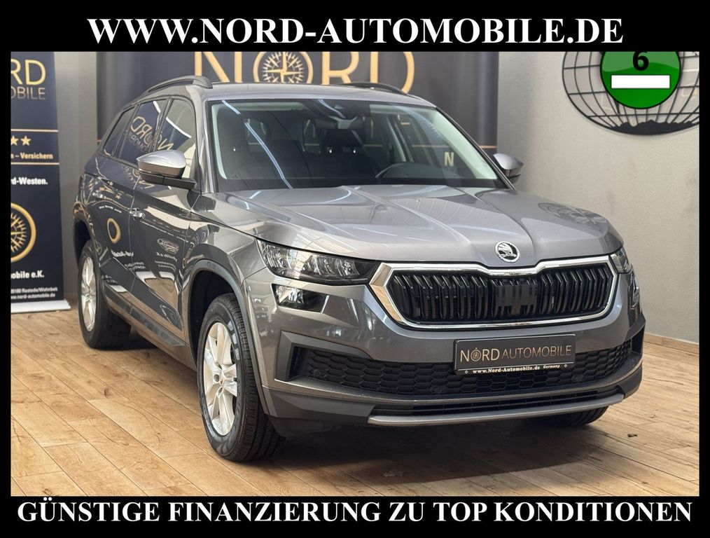 Skoda Kodiaq Ambition 2.0 TDI DSG Kamera/Navi/LED