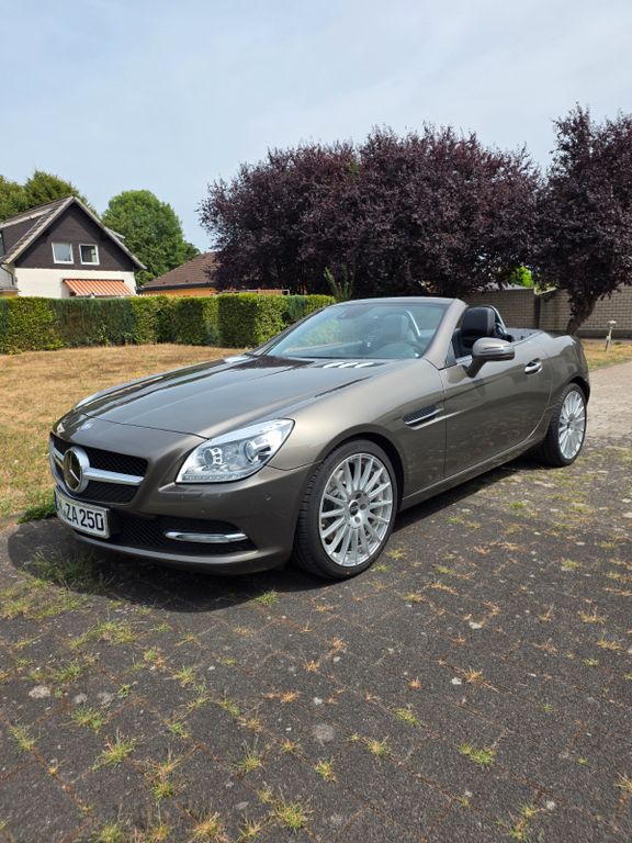 Bild des Angebotes Mercedes-Benz SLK 250 BlueEFFICIENCY Autom. -