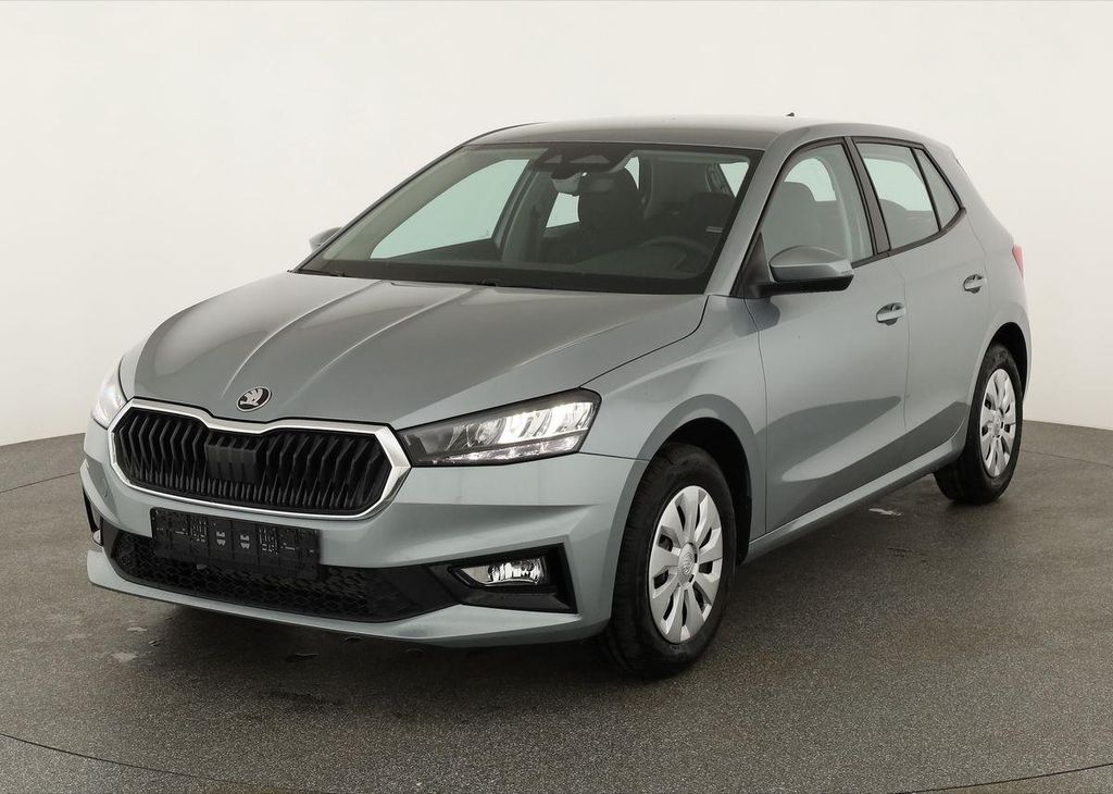 Skoda Fabia 1.0 TSI Selection, Ladeboden, Park, SmartL