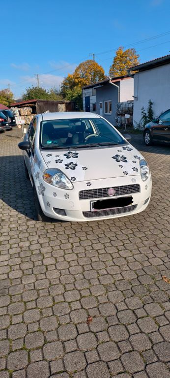 Bild des Angebotes Fiat Punto 1.2 8V Active Active
