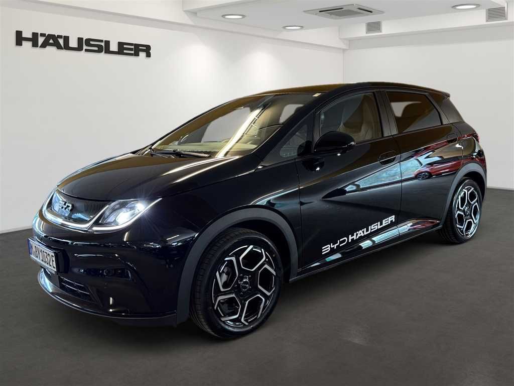 Bild des Angebotes BYD DOLPHIN DESIGN 360°Kamera Leder Sitzkühlung Pano