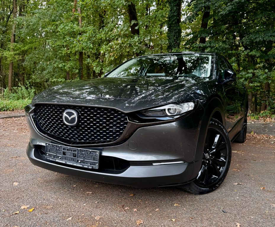 Bild des Angebotes Mazda CX-30 Nagisa