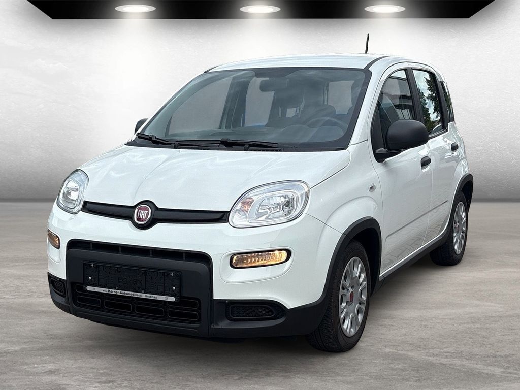 Bild des Angebotes Fiat Panda Base auch in Blau u. Schwarz