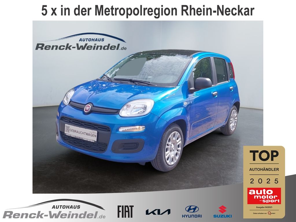 Bild des Angebotes Fiat Pandina 1.0 ICON Digitales Cockpit DAB Spurhalte