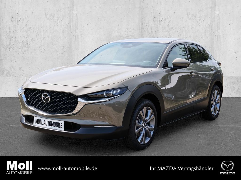 Bild des Angebotes Mazda CX-30 Exclusive-line 2.5L e-SKYACTIV G 140PS 6AT