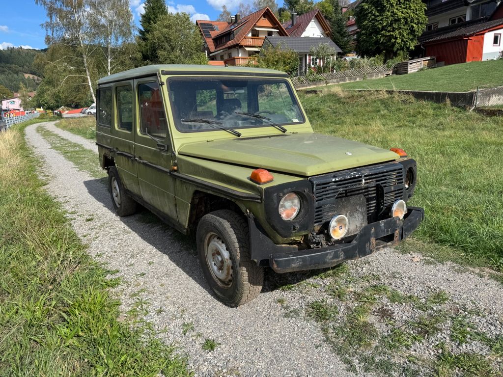 Mercedes-Benz G 300 Diesel, OM617,