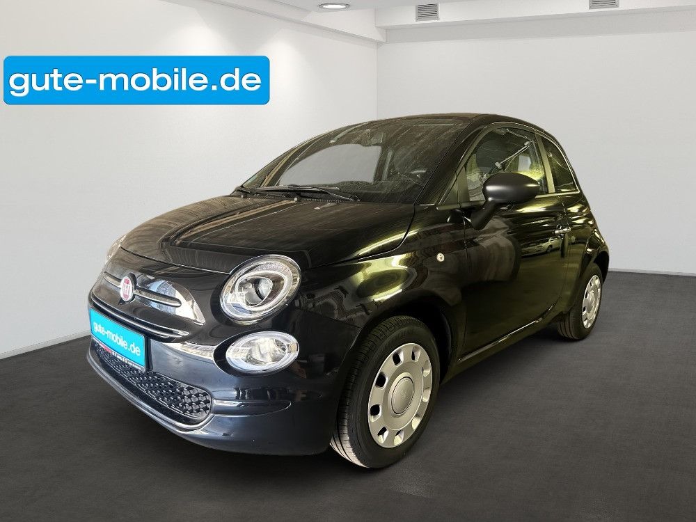 Bild des Angebotes Fiat 500 Basis I ESP I CarPlayI KLIMA