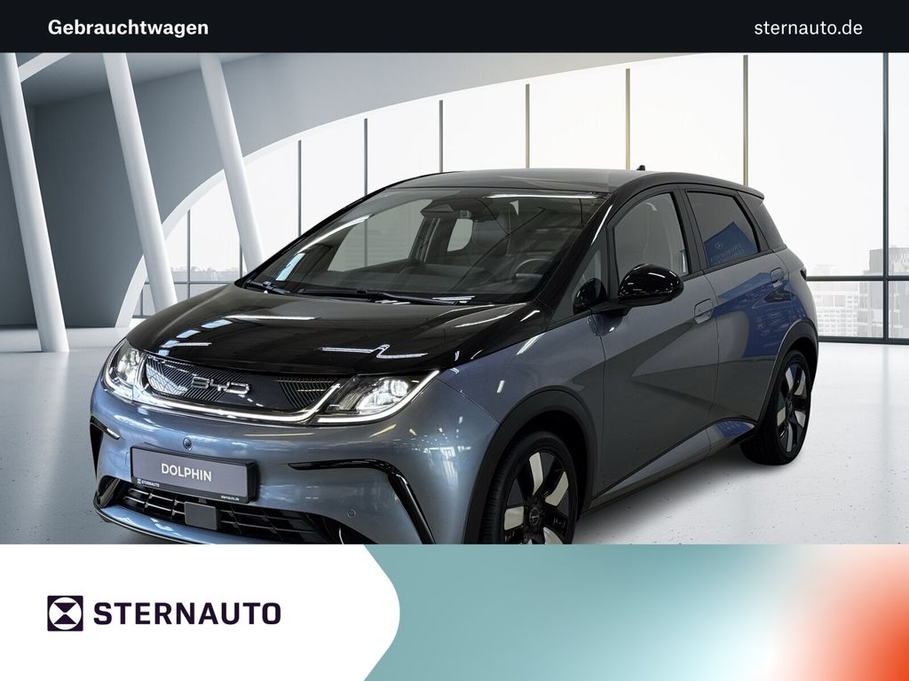 Bild des Angebotes BYD Dolphin Design