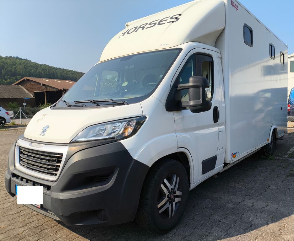 Bild des Angebotes Peugeot Boxer Stablehopper Pferdetransporter