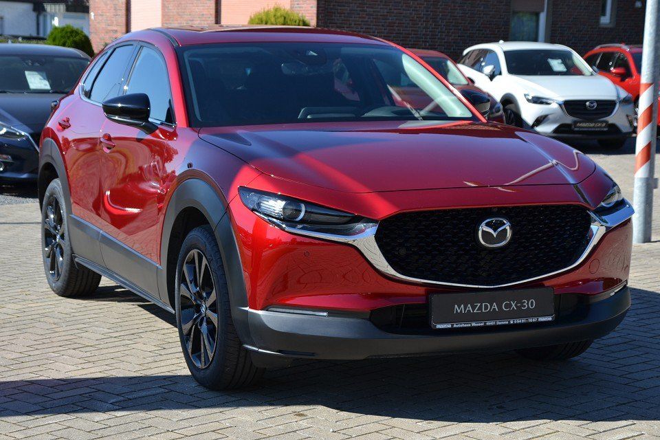 Bild des Angebotes Mazda CX-30 SKYACTIV-G 150 M-Hybrid 6GS HOMURA PRE-P A