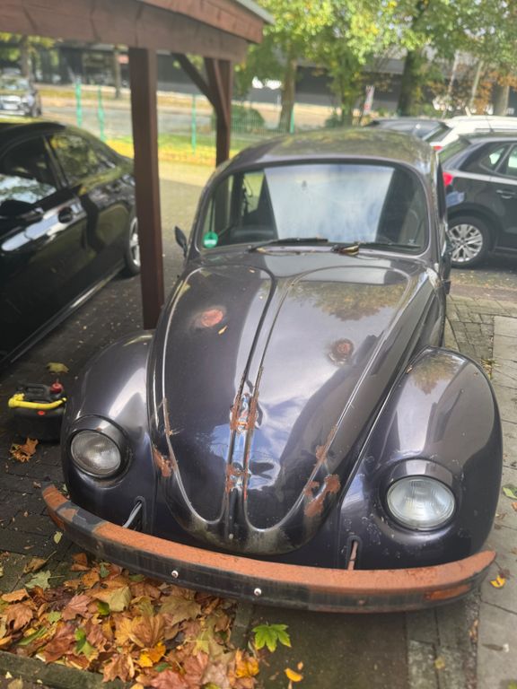 Bild des Angebotes Volkswagen Käfer