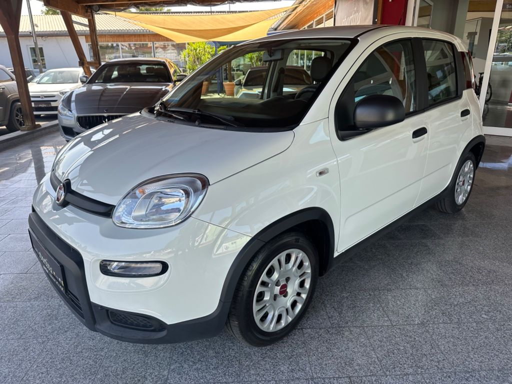 Bild des Angebotes Fiat Panda Klima Garantie