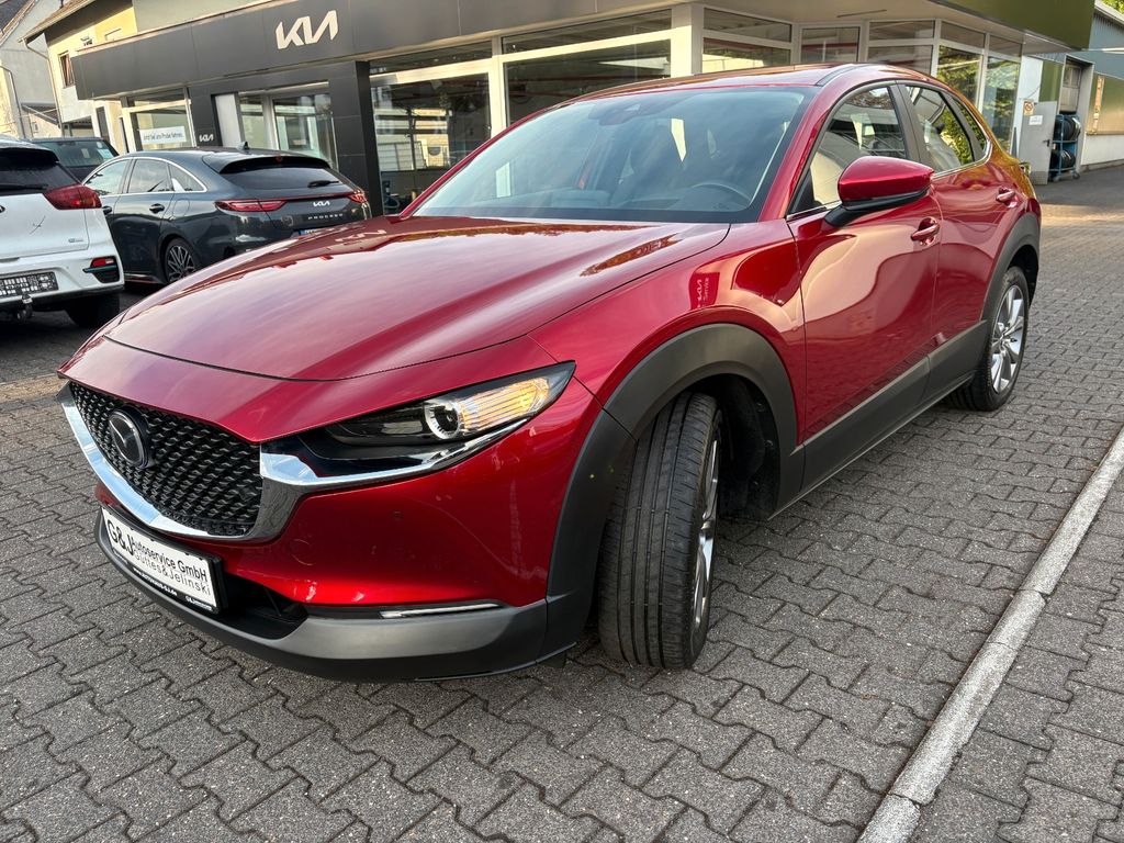 Bild des Angebotes Mazda CX-30 Selection HUD, Navi, Kamera