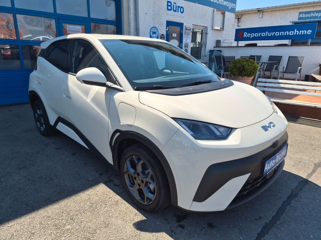Bild des Angebotes BYD DOLPHIN Surf 43.2kWh Comfort Sitzheizung