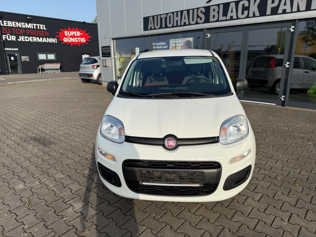 Bild des Angebotes Fiat Panda Easy 1Hand Klima Tüv neu