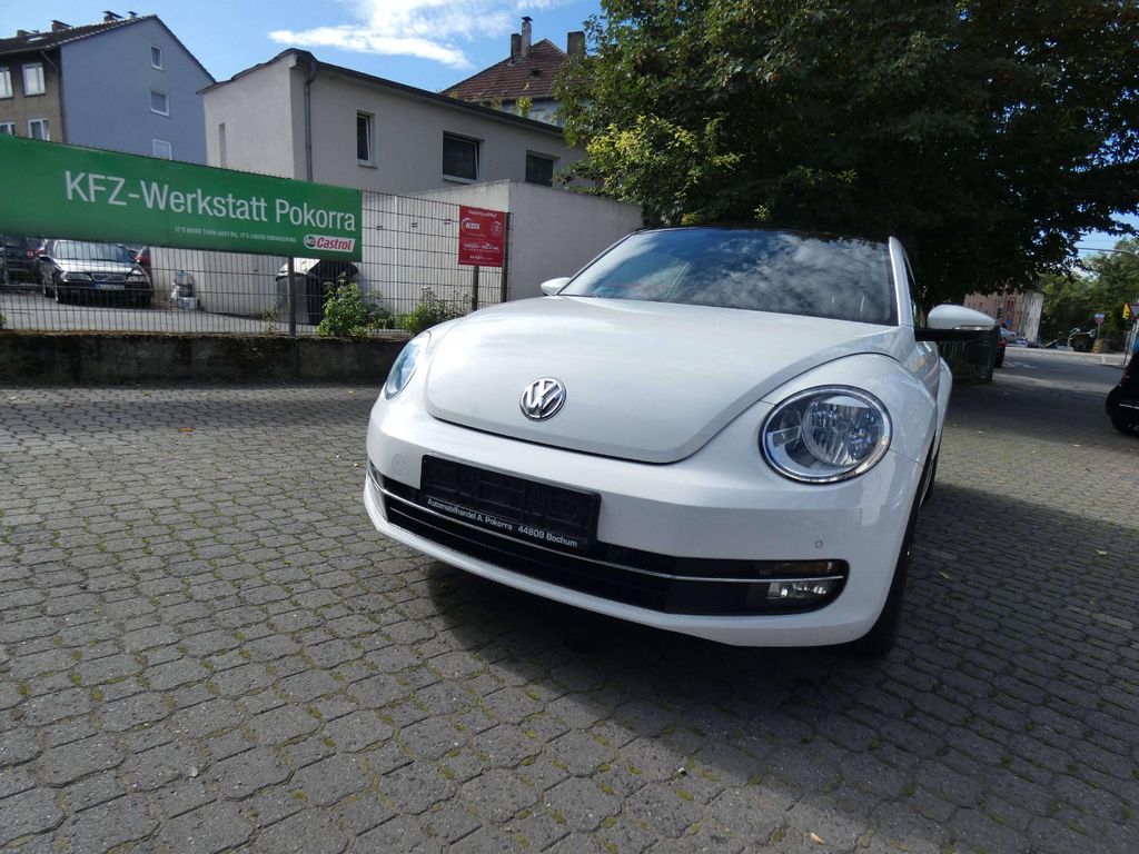 Bild des Angebotes Volkswagen Beetle Cup