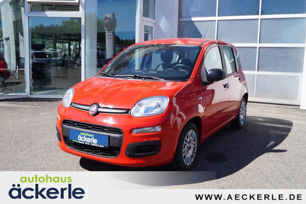 Bild des Angebotes Fiat Panda Base I 1. Hand I Klima
